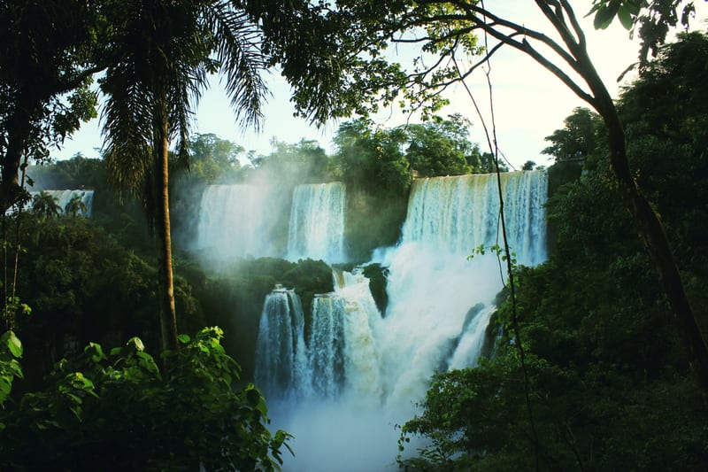 Waterfalls in a green jungle